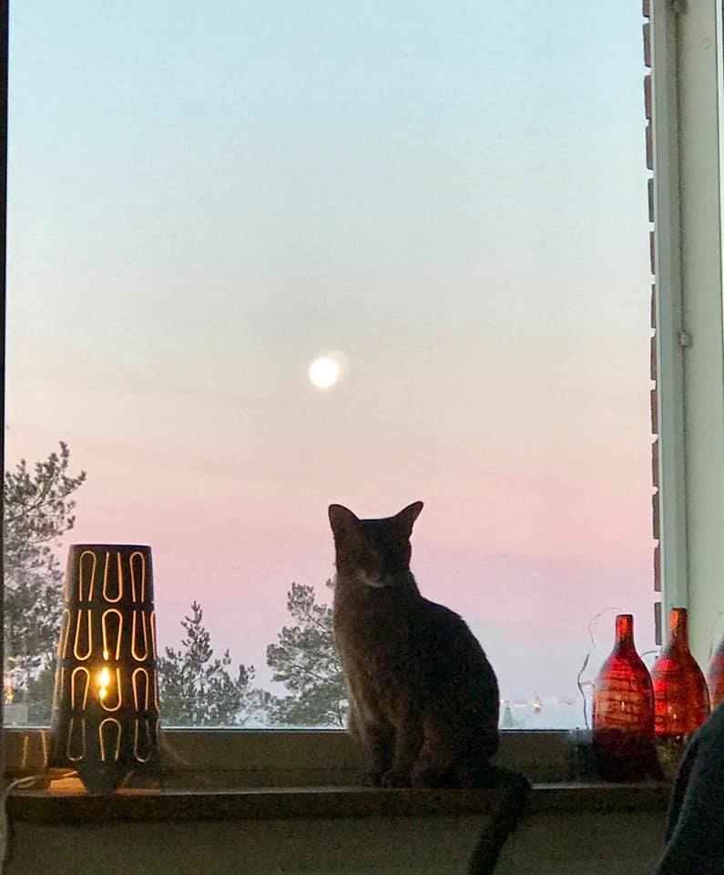 Aby boy sitting at the window