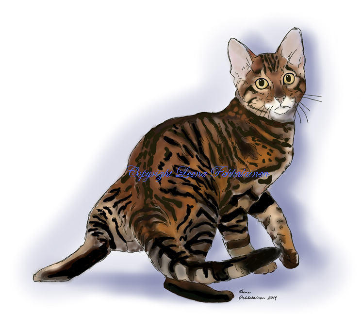painting of a Toyger turning towards the viewer.