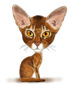 Abyssinian cat caricature