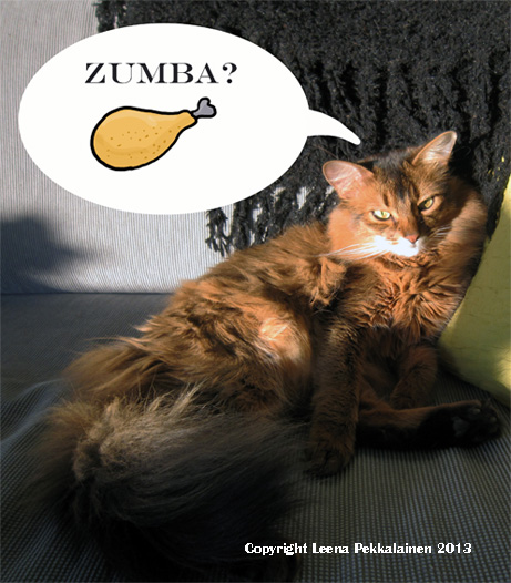 What the heck is zumba? Is it something to eat?