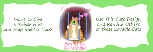 shelter cat