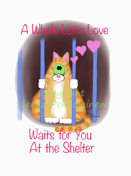 shelter cat