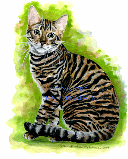 Gouache painting of a sitting Toyger.