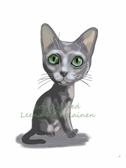 cartoon cat, korat cat breed