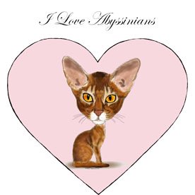 I Love Abyssinians