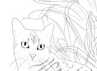 Egyptian Mau drawing closeup