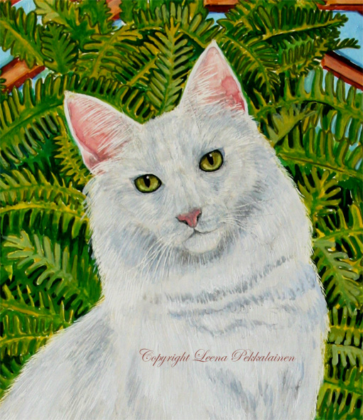 White Turkish Angora portrait