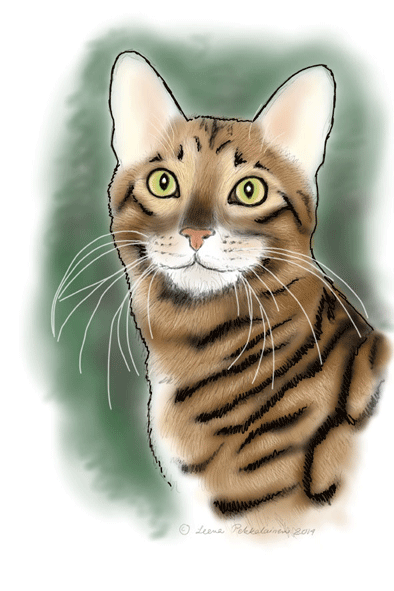 Toyger Head painting