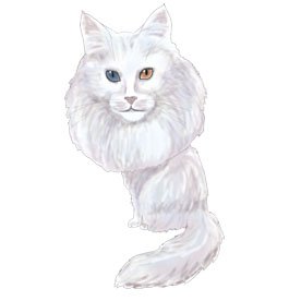 Turkish Angora caricature