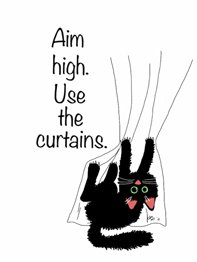 cat climbs curtains