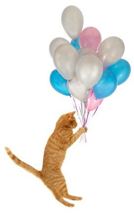 Heppu the Balloon Cat in Cat Diary