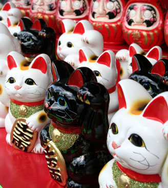 maneki neko cat