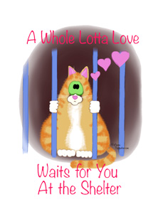 shelter cat